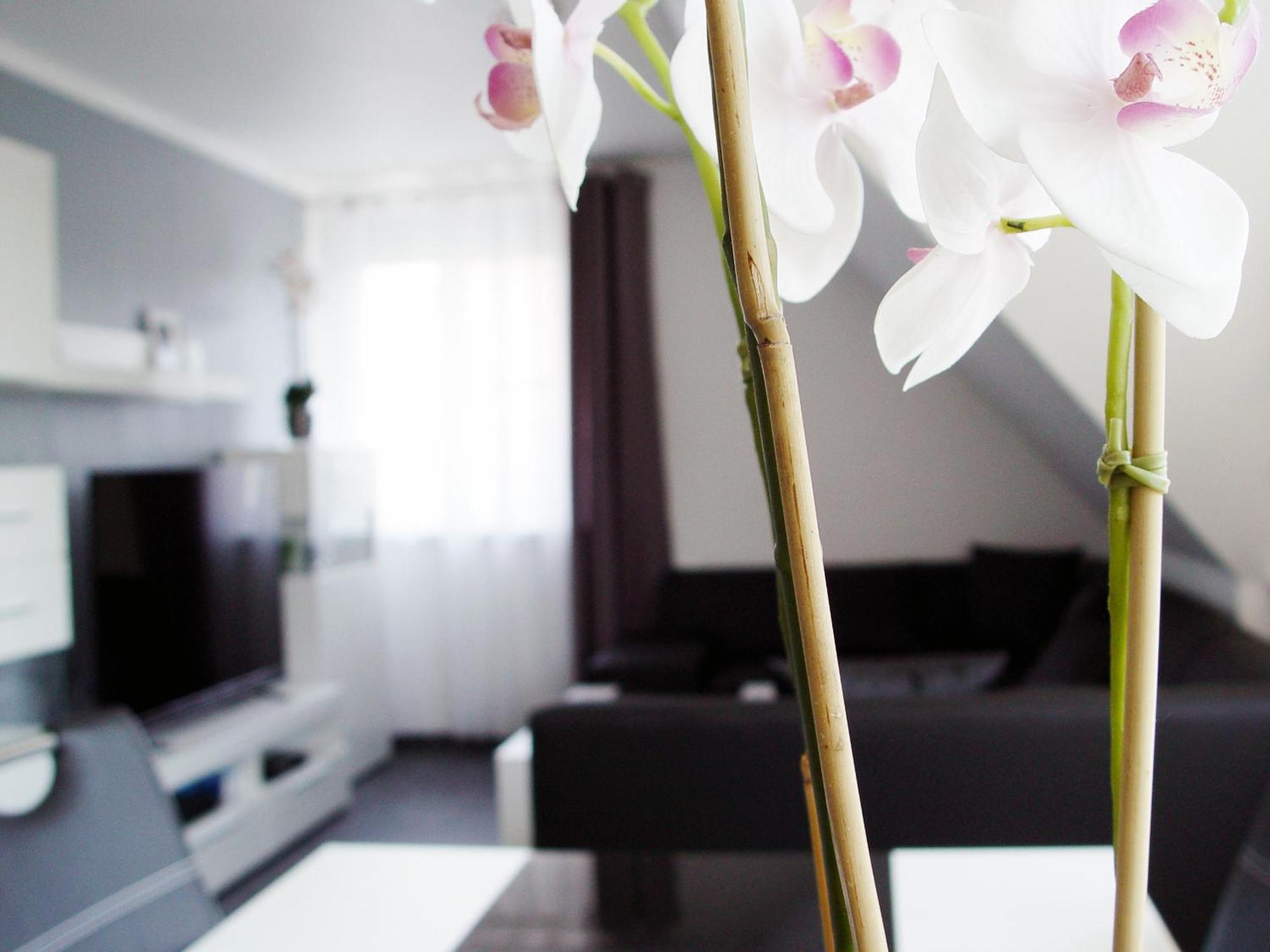 La Domus Premium Apartment Lotte Exterior photo